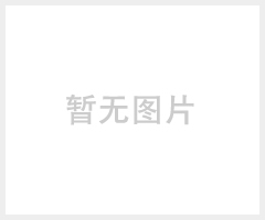 雄狮货车轮胎拆装机 大型轮胎拆装机 客车轮胎扒胎机